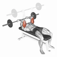 Reverse Barbell French Press