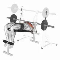 Reverse Press declinado con barra