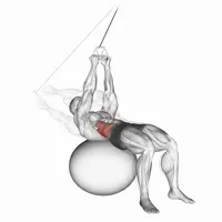 Giro ruso on Fitball with Pulley