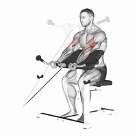 Scott Bench Curl in Supination with Pulley