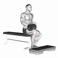 Seated Dumbbell Isolated Calf Extension