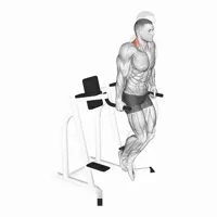 Shrinks in Parallel Bars