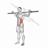 Side Crunch with Barbell