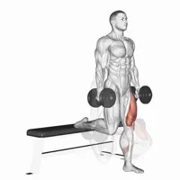 Single leg dumbbell squat
