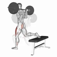 Single leg squat with barbell