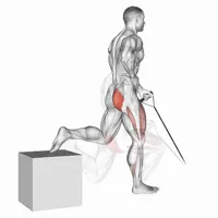Single leg squat with front band