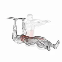 Abdominales con bandas