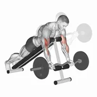 Spider Curl in Supination with Z Bar