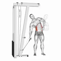 Standing Lateral Crunch on Low Pulley