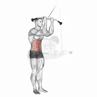 Standing Crunch superior with Front Pulley