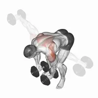 Standing birds with dumbbells
