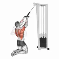 Superior Rowing with Rope on Pulley