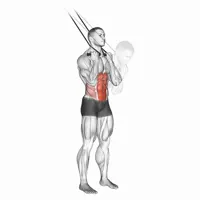 Superior Standing Crunch with Bands