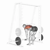 Supinated Row on Smith Machine