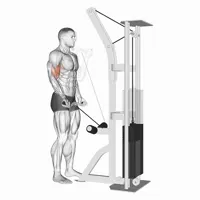 Supinated curl with Z grip on low pulley