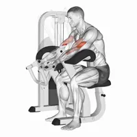 Supination Curl on Scott Machine