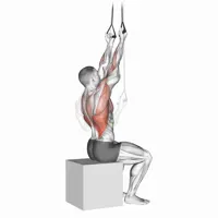 Supination Pulldown with Bands