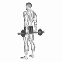 Vertical Barbell Finger Curl