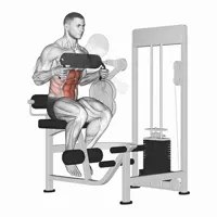 Vertical Crunch Machine