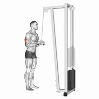 Vertical Extension in Pronation on High Pulley