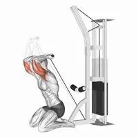 Vertical Extension in Pronation on Low Pulley