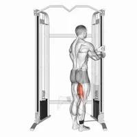 Vertical Pulley Leg Curl
