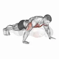 Flexiones abiertas