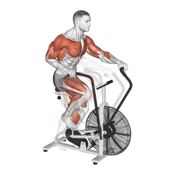 Air Bike — ejercicio de Cardio, nivel Avanzado