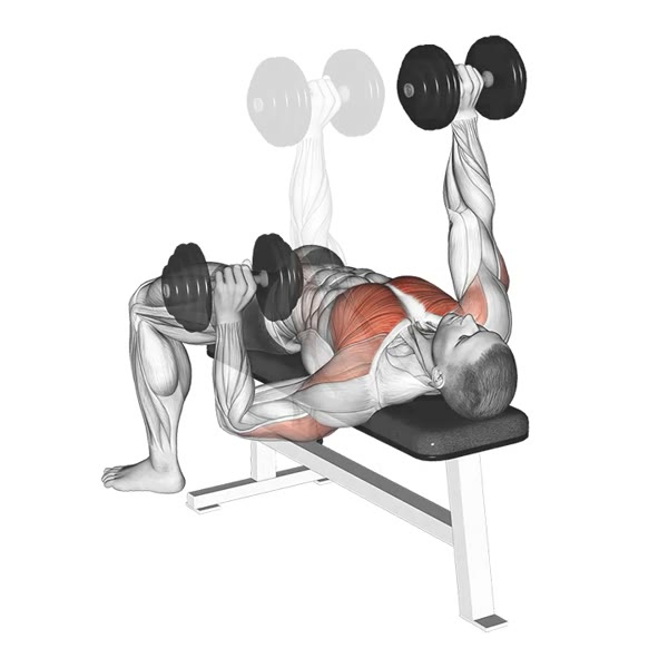 Alternating Dumbbell Bench Press — ejercicio de Pecho, nivel Principiante