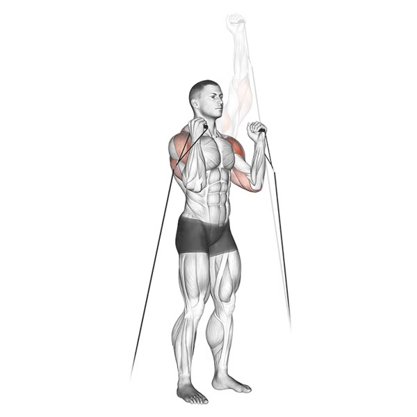 Alternating Neutral Weight Military Press on Pulley — ejercicio de Hombros, nivel Intermedio