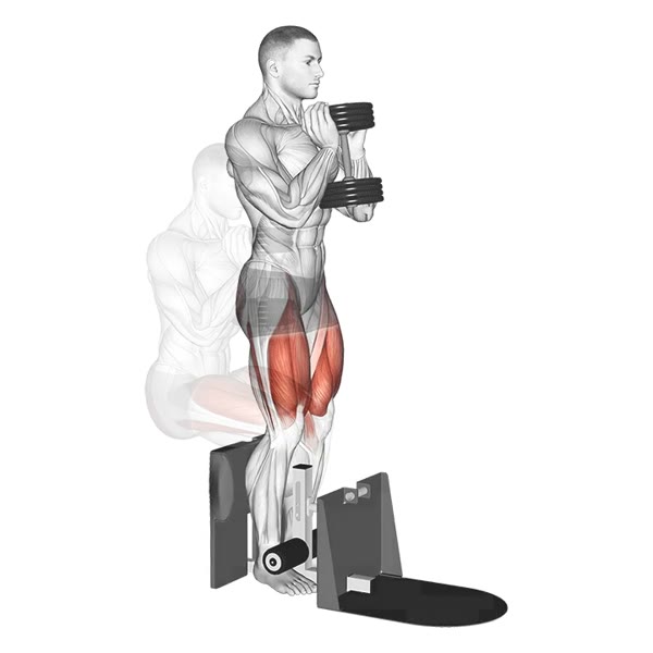 Assisted Dumbbell Squat — ejercicio de Pierna, nivel Principiante
