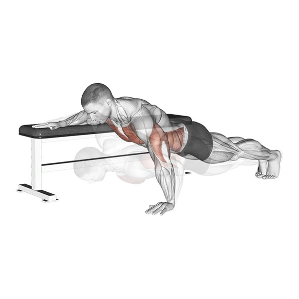 Assisted one arm push ups — ejercicio de Pecho, nivel Avanzado