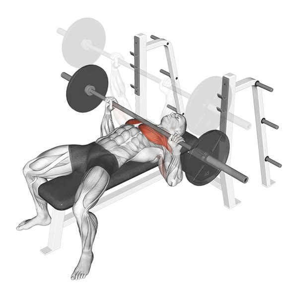 Barbell Bench Press — ejercicio de Pecho, nivel Intermedio