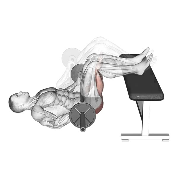 Barbell Decline Hip Thrust — ejercicio de Pierna, nivel Intermedio