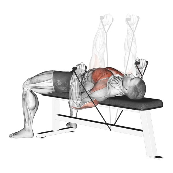 Bench Press with Bands — ejercicio de Pecho, nivel Intermedio