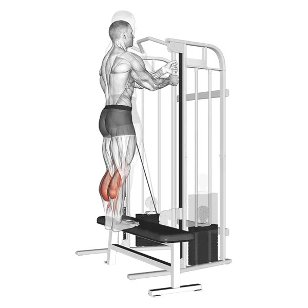 Calf Extension on Pulley — ejercicio de Pierna, nivel Intermedio