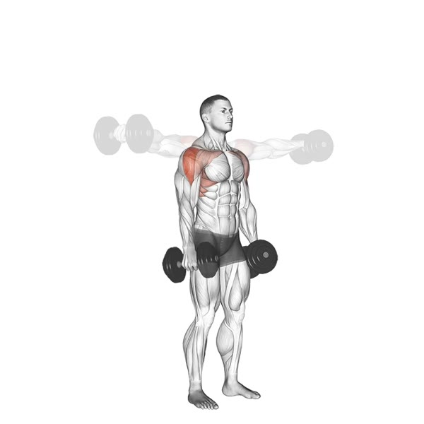 Circular Cuban Press with Dumbbells — ejercicio de Hombros, nivel Avanzado