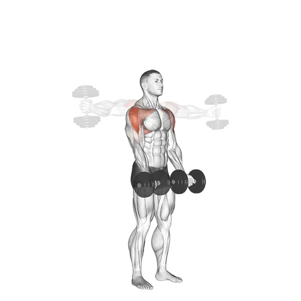 Circular Dumbbell Raises — ejercicio de General, nivel Intermedio