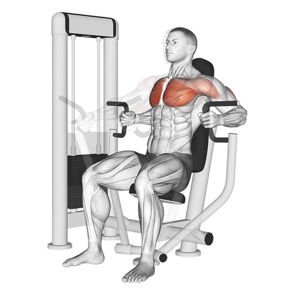 Close Grip Front Press on Machine — ejercicio de Antebrazo, nivel Intermedio