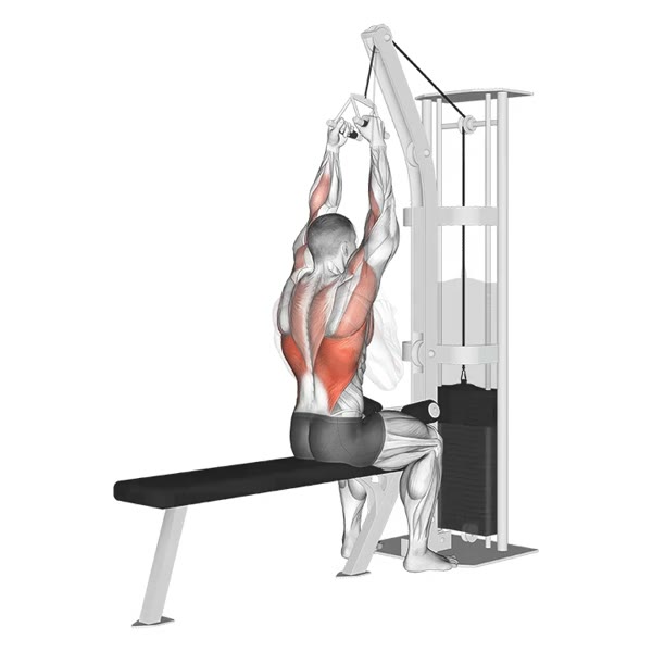 Close Neutral Pull on High Pulley — ejercicio de Espalda, nivel Intermedio