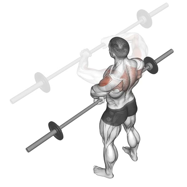 Closed Front Lift in Pronation with Bar — ejercicio de General, nivel Intermedio