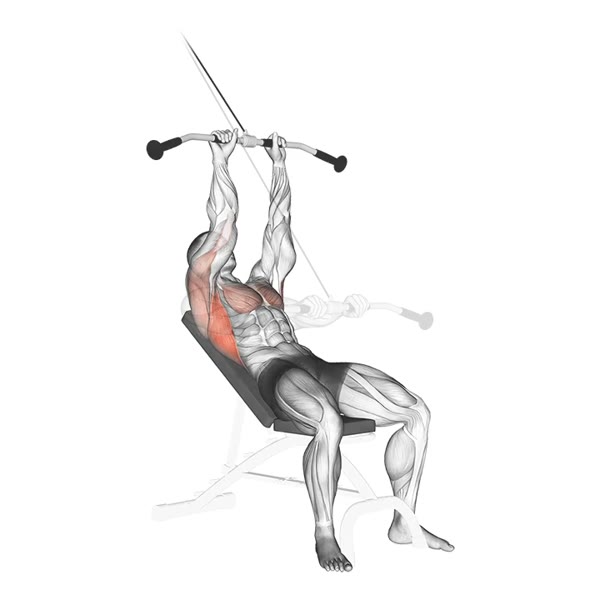 Closed Inclined Serratus with Pulley Bar — ejercicio de Espalda, nivel Intermedio