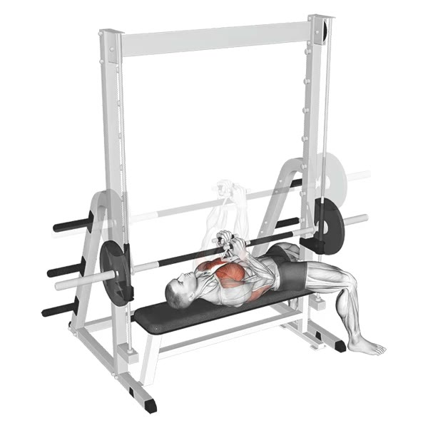 Closed Press on Smith Machine — ejercicio de Pecho, nivel Intermedio
