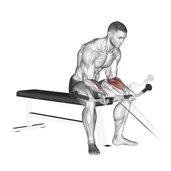 Concentrated Supination Curl with Pulley — ejercicio de Antebrazo, nivel Principiante