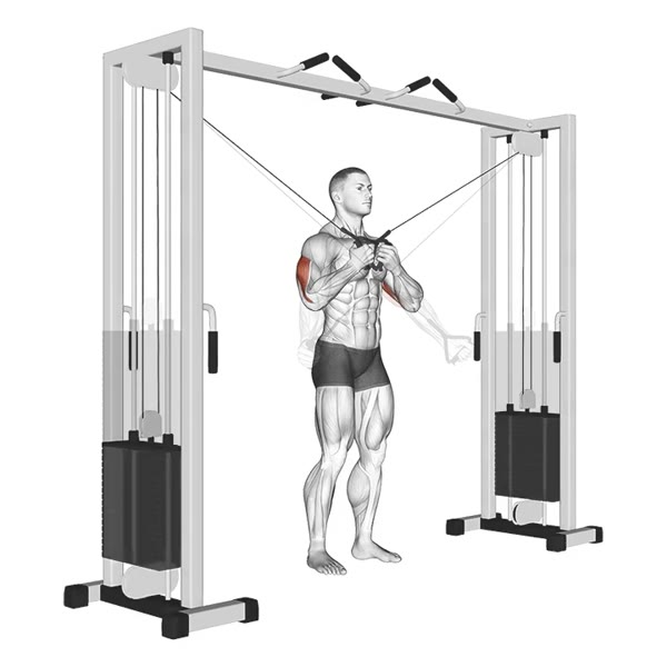 Cross Extensions on Pulley — ejercicio de General, nivel Intermedio