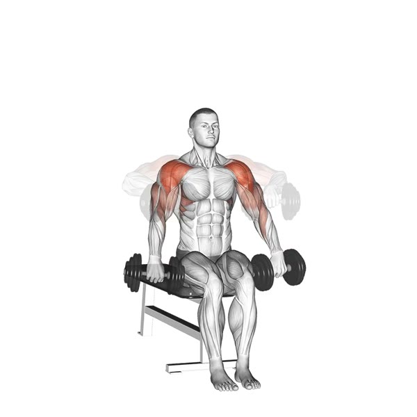 Cuban Press with Dumbbells — ejercicio de Hombros, nivel Intermedio