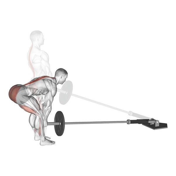 Deadlift on Point — ejercicio de Espalda, nivel Intermedio