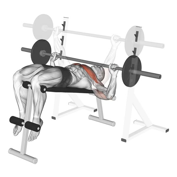 Decline Barbell Press — ejercicio de Pecho, nivel Intermedio