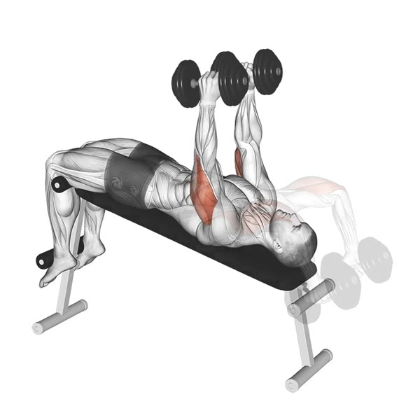 Decline Dumbbell Extension — ejercicio de Tríceps, nivel Intermedio