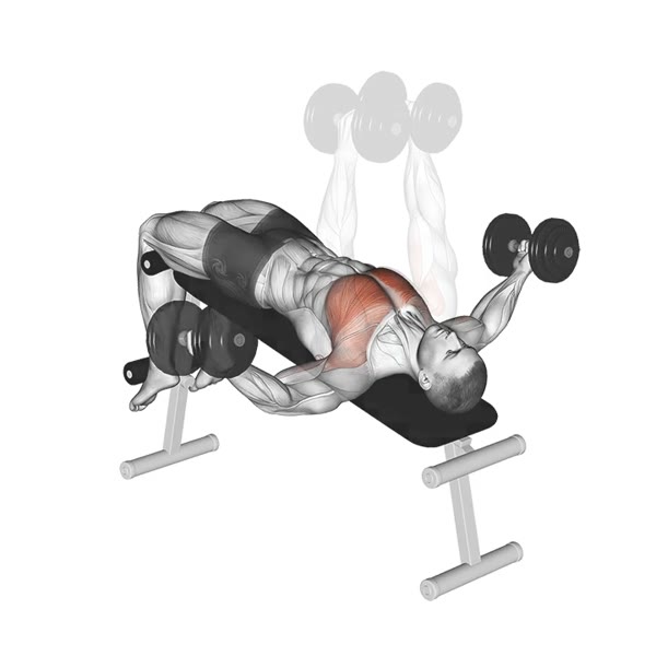 Decline Dumbbell Flyes — ejercicio de Pecho, nivel Intermedio